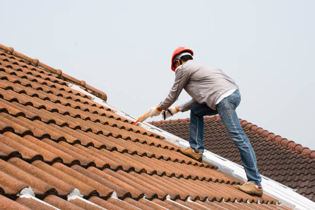 Best Solar Panel Roofing Installation  in Waverly, IA