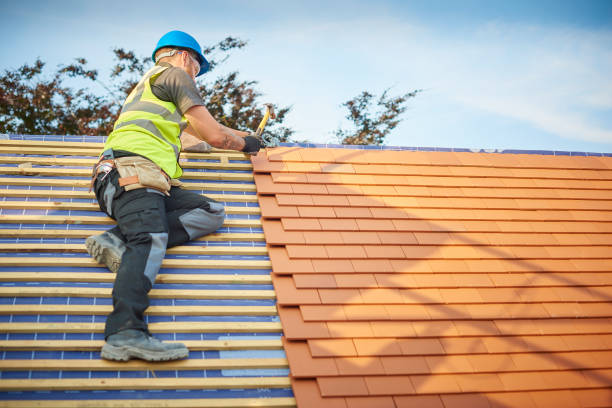 Best Storm Damage Roof Repair  in Waverly, IA
